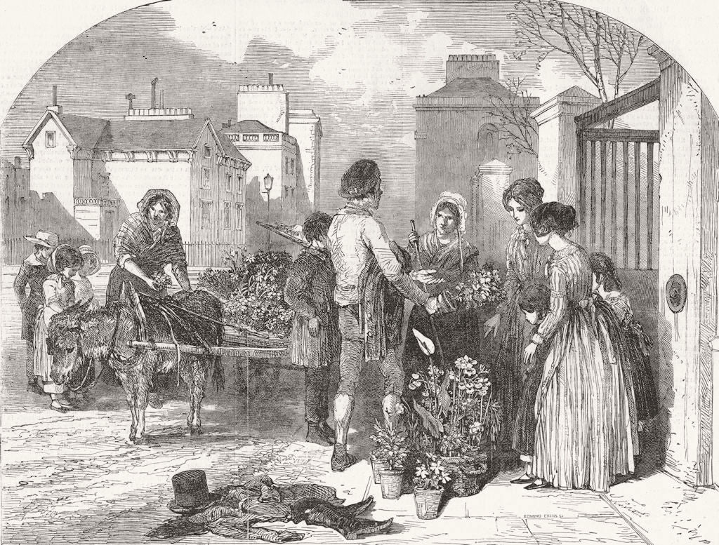 SHOPS. All a-blowing! All a-growing! 1850 old antique vintage print picture